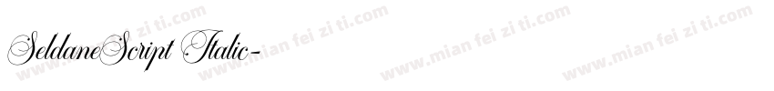 SeldaneScript Italic字体转换